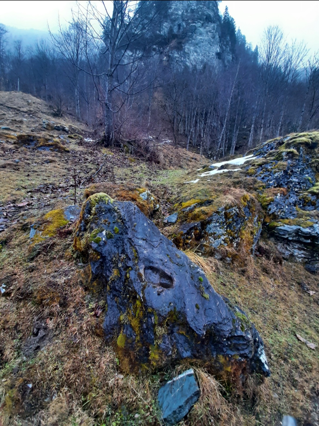 Footprint of the Wildwoman, Stubachtal/Pinzgau